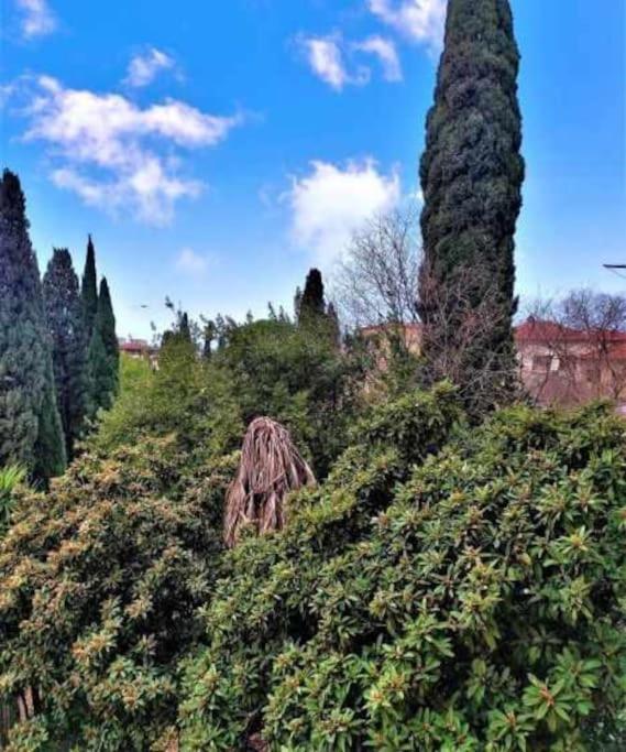 Casa Raffaello Careggi Apartment Florence Ngoại thất bức ảnh